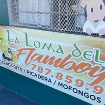 La Loma del Flamboyán