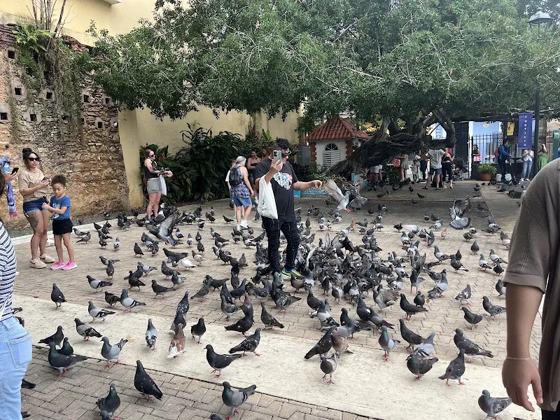 Parque de las Palomas