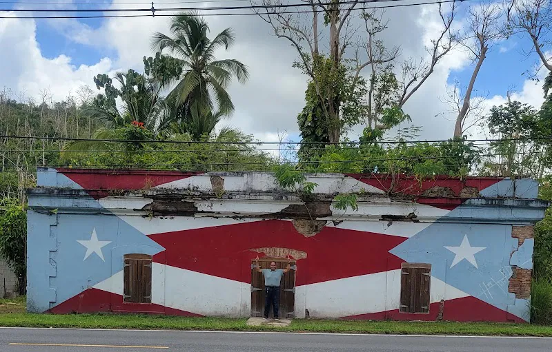78 Pueblos y 1 Bandera en Caguas #42