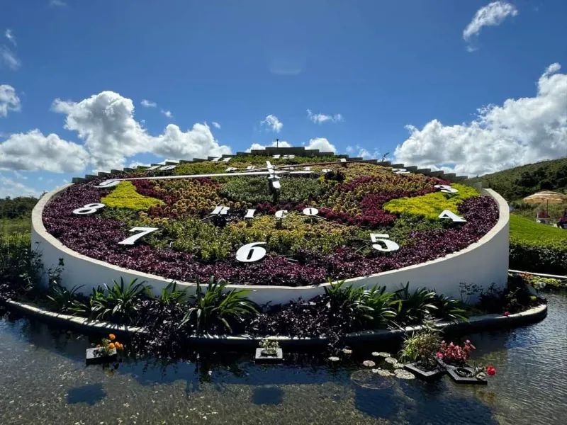 El Reloj de Flores de Puerto Rico